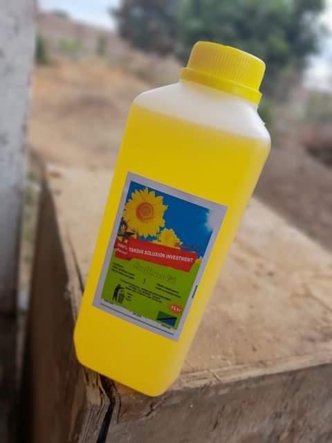 Mafuta ya alizeti