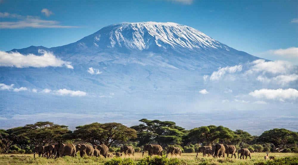 kilimanjaro