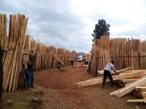 njombe